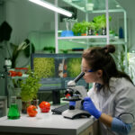 Biologist researcher analyzing biological slide for agriculture expertise using microscope. Chemist scientist examining organic plants in microbiology scientific laboratory